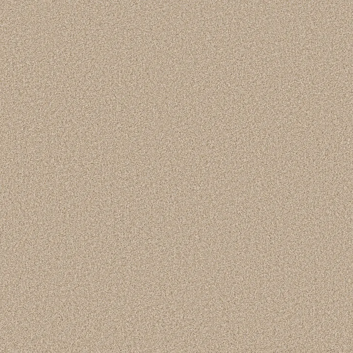Anderson Tuftex Somerset — Down Home · ZZ279-00161 — flooring selection with LeviArs Design & Remodeling