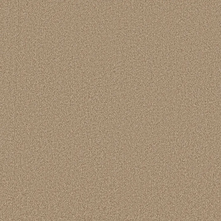 Anderson Tuftex Somerset — Filtered Moon · ZZ279-00162 — flooring selection with LeviArs Design & Remodeling