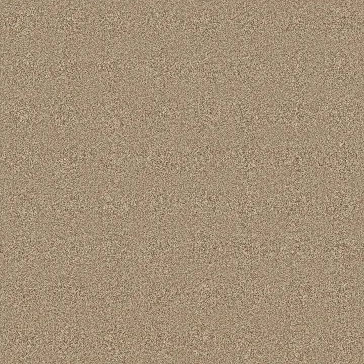 Anderson Tuftex Somerset — Golden · ZZ279-00224 — flooring selection with LeviArs Design & Remodeling