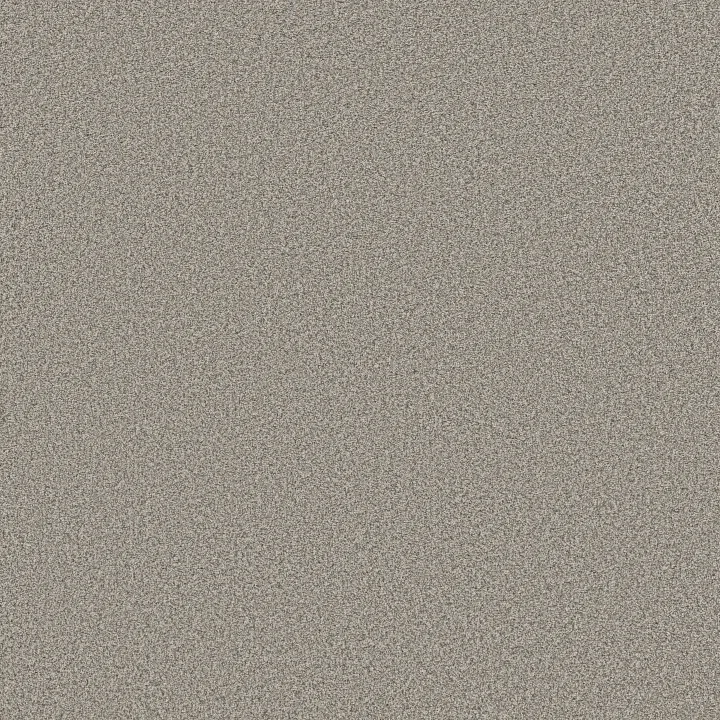 Anderson Tuftex Somerset — Moth Gray · ZZ279-00551 — flooring selection with LeviArs Design & Remodeling