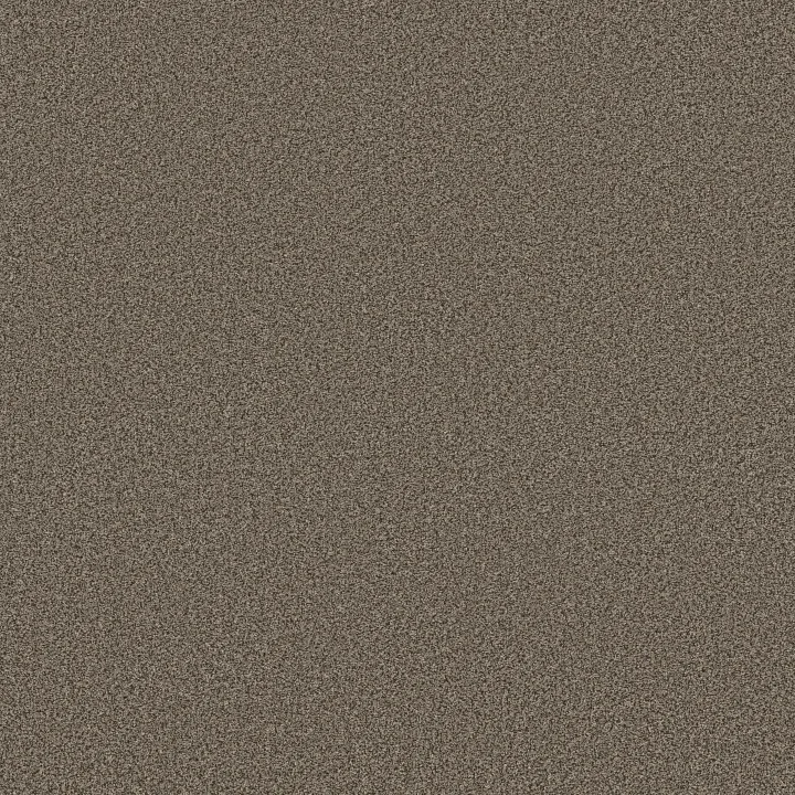 Anderson Tuftex Somerset — Ottertail · ZZ279-00576 — flooring selection with LeviArs Design & Remodeling