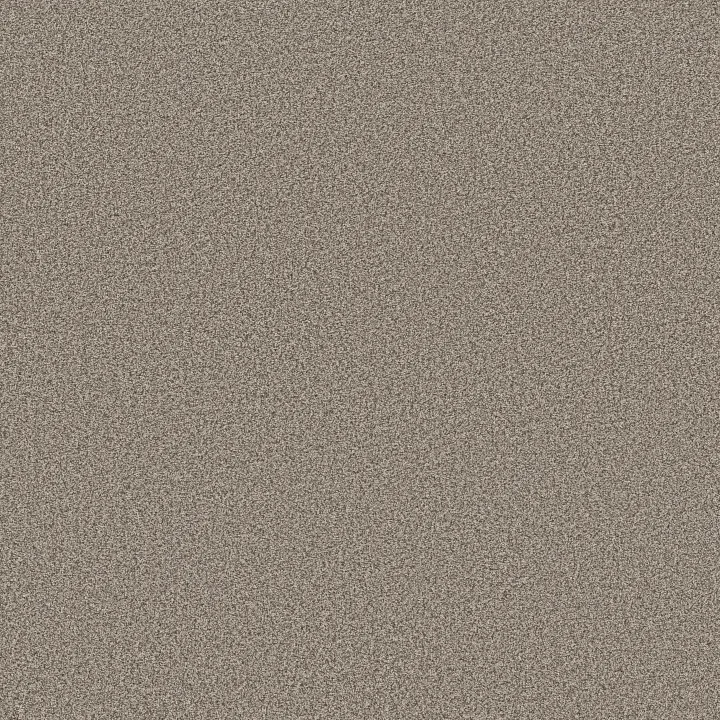 Anderson Tuftex Somerset — Pashmina · ZZ279-00754 — flooring selection with LeviArs Design & Remodeling