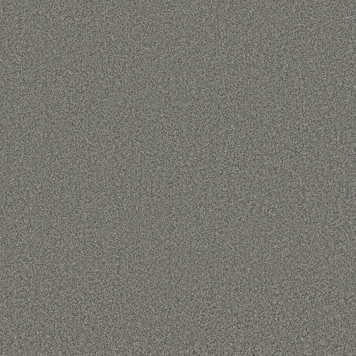 Anderson Tuftex Somerset — Pixel · ZZ279-00544 — flooring selection with LeviArs Design & Remodeling