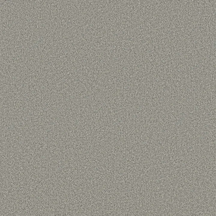 Anderson Tuftex Somerset — Platinum · ZZ279-00552 — flooring selection with LeviArs Design & Remodeling