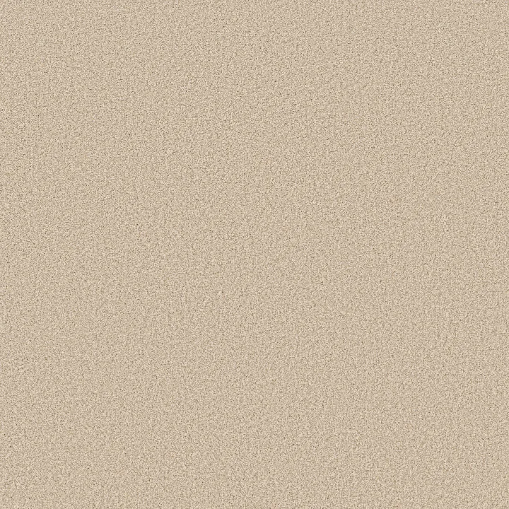 Anderson Tuftex Somerset — Risotto · ZZ279-00121 — flooring selection with LeviArs Design & Remodeling