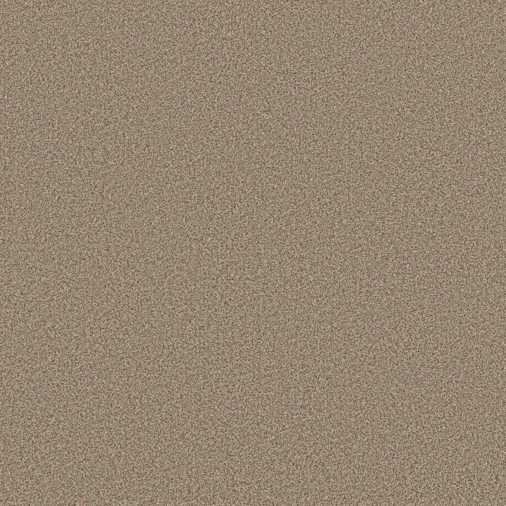 Anderson Tuftex Somerset — Sugar Cookie · ZZ279-00173 — flooring selection with LeviArs Design & Remodeling