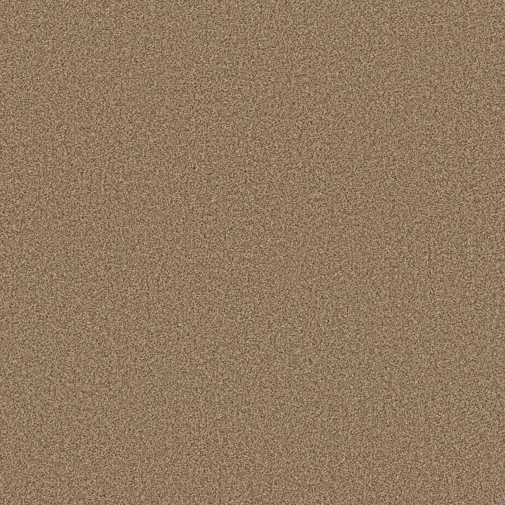 Anderson Tuftex Somerset — Toasty · ZZ279-00275 — flooring selection with LeviArs Design & Remodeling
