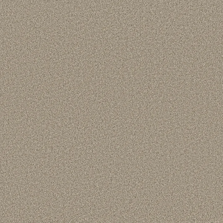 Anderson Tuftex Somerset — White Mocha · ZZ279-00151 — flooring selection with LeviArs Design & Remodeling