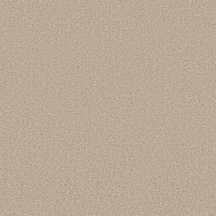Anderson Tuftex Somerset — Windswept · ZZ279-00222 — flooring selection with LeviArs Design & Remodeling