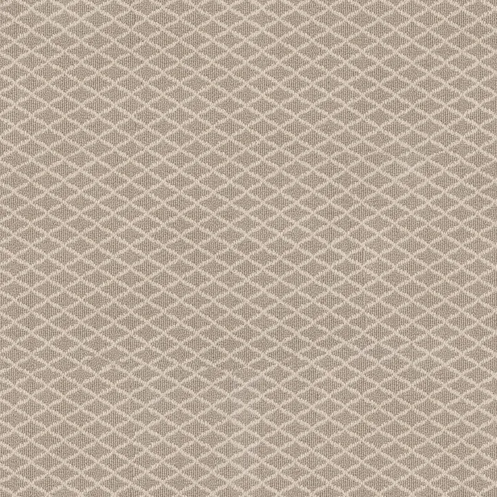 Anderson Tuftex Springer'S Point — Almond · ZZ049-00112 — flooring selection with LeviArs Design & Remodeling