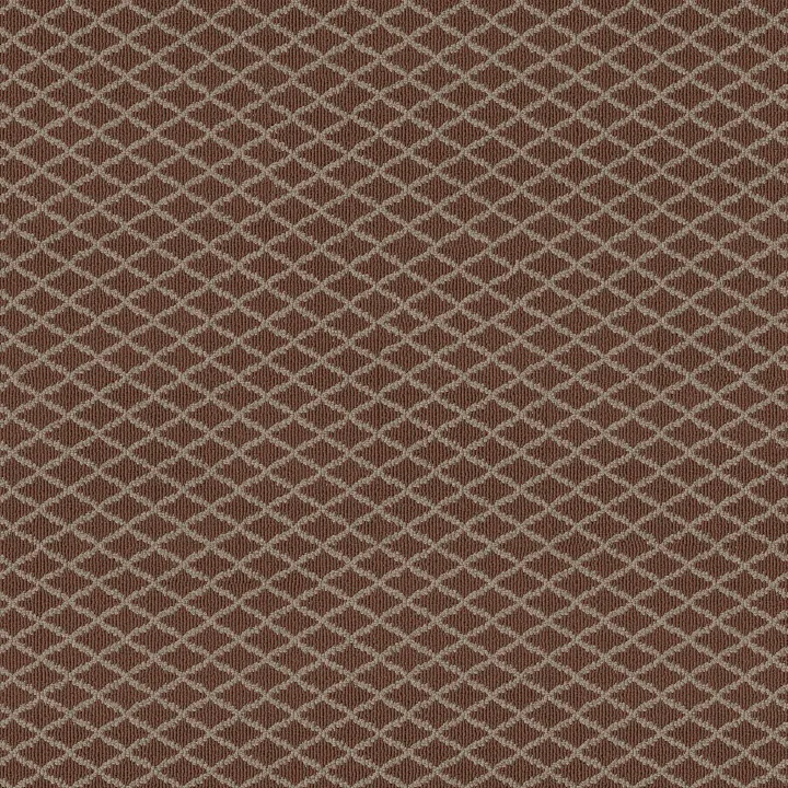 Anderson Tuftex Springer'S Point — Burnt Russet · ZZ049-00877 — flooring selection with LeviArs Design & Remodeling