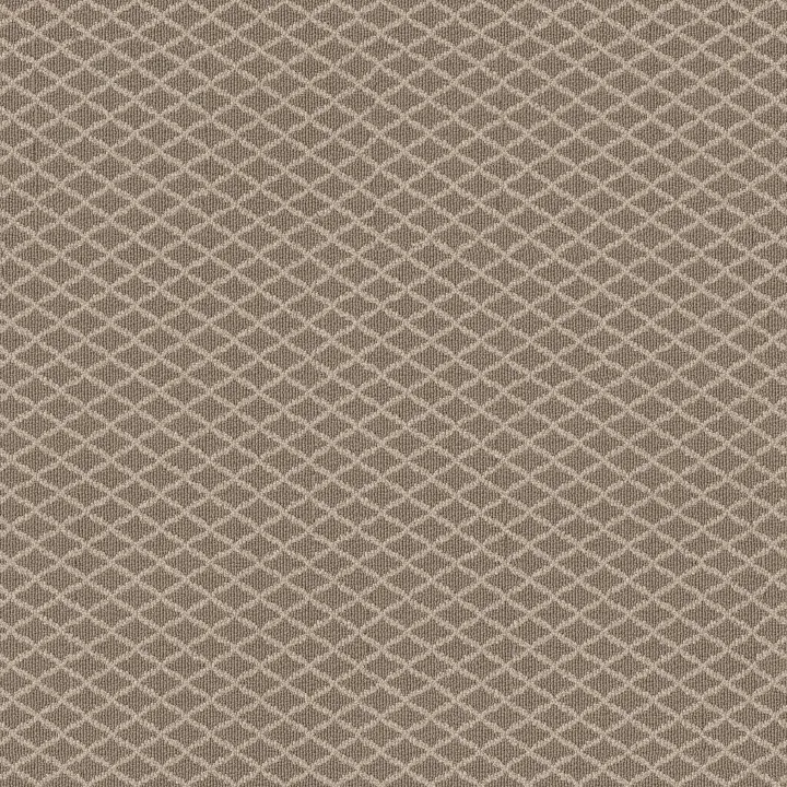 Anderson Tuftex Springer'S Point — Creekbed · ZZ049-00713 — flooring selection with LeviArs Design & Remodeling