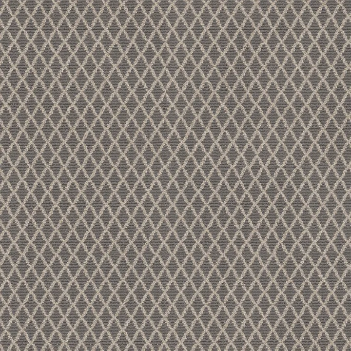 Anderson Tuftex Springer'S Point — Hazelwood · ZZ049-00576 — flooring selection with LeviArs Design & Remodeling