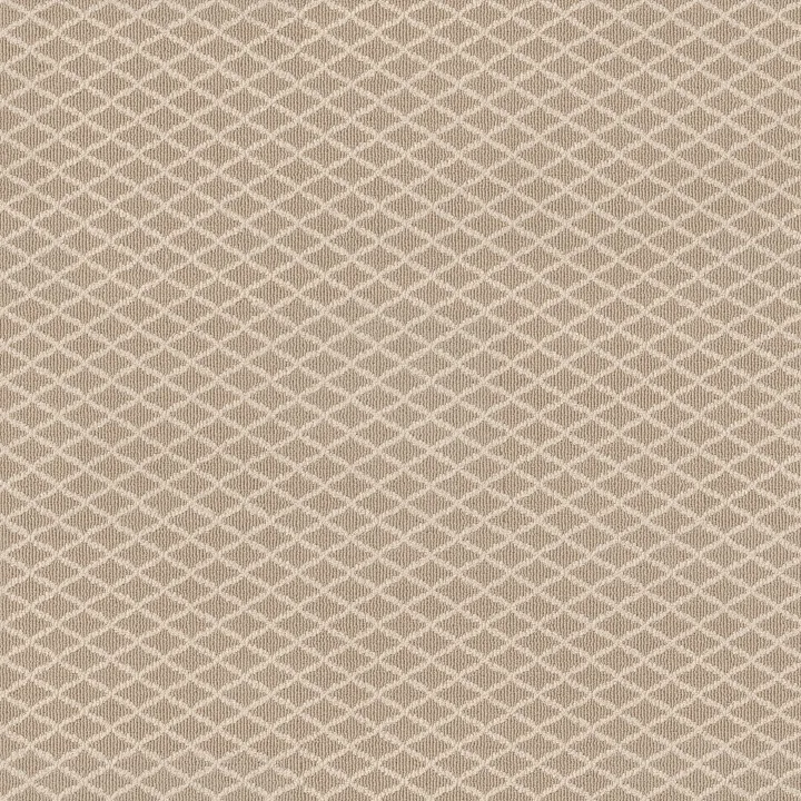 Anderson Tuftex Springer'S Point — Mohair · ZZ049-00212 — flooring selection with LeviArs Design & Remodeling