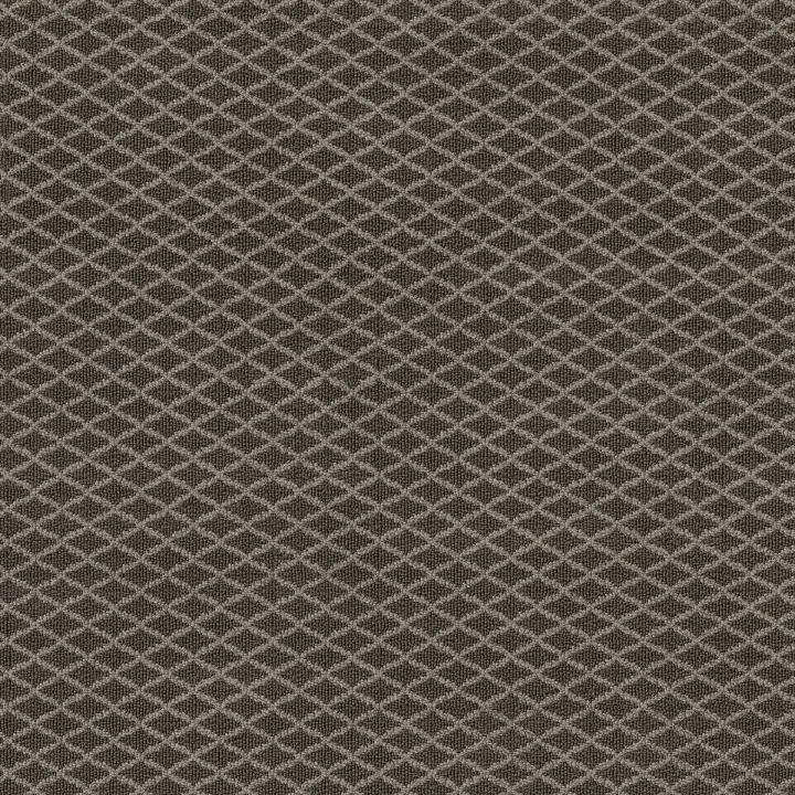 Anderson Tuftex Springer'S Point — Pepperdock · ZZ049-00757 — flooring selection with LeviArs Design & Remodeling