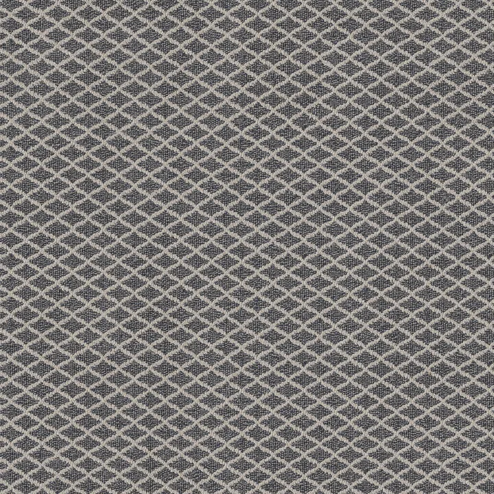 Anderson Tuftex Springer'S Point — Seaport Blue · ZZ049-00475 — flooring selection with LeviArs Design & Remodeling