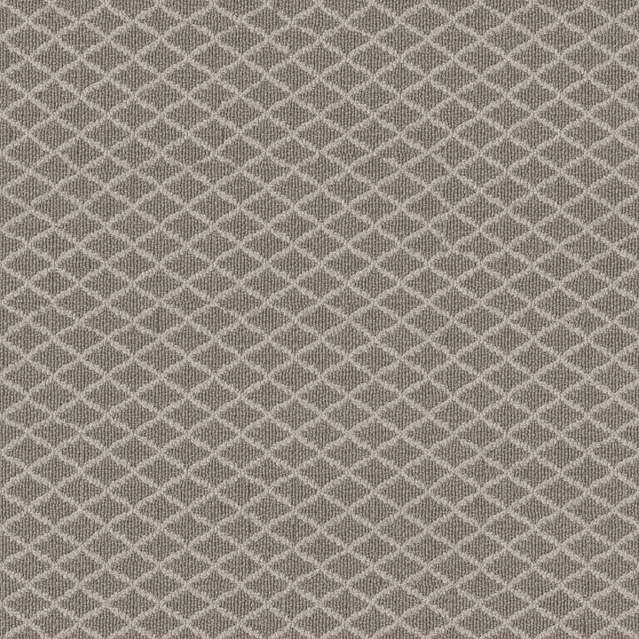 Anderson Tuftex Springer'S Point — Shoreline · ZZ049-00754 — flooring selection with LeviArs Design & Remodeling