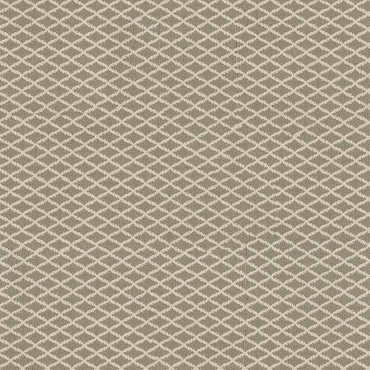 Anderson Tuftex Springer'S Point — Spring Mist · ZZ049-00313 — flooring selection with LeviArs Design & Remodeling