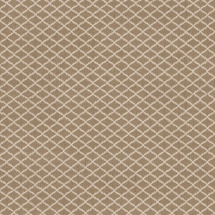 Anderson Tuftex Springer'S Point — Twilight Gold · ZZ049-00213 — flooring selection with LeviArs Design & Remodeling