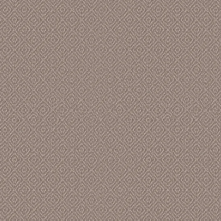 Anderson Tuftex Stroll — Creekbed · ZZ050-00713 — flooring selection with LeviArs Design & Remodeling