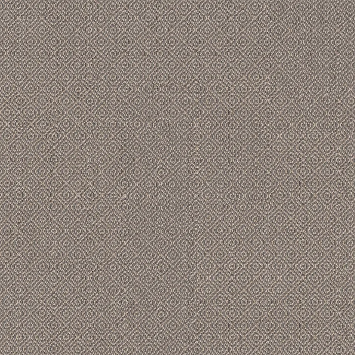 Anderson Tuftex Stroll — Hazelwood · ZZ050-00576 — flooring selection with LeviArs Design & Remodeling