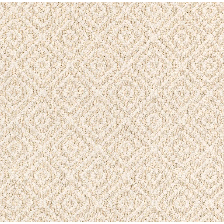 Anderson Tuftex Stroll — Mohair · ZZ050-00212 — flooring selection with LeviArs Design & Remodeling