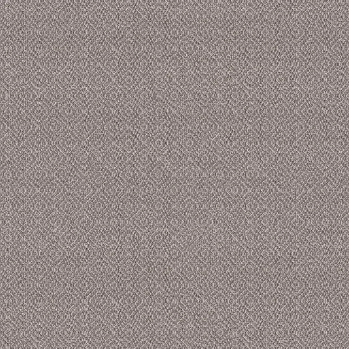 Anderson Tuftex Stroll — Shoreline · ZZ050-00754 — flooring selection with LeviArs Design & Remodeling