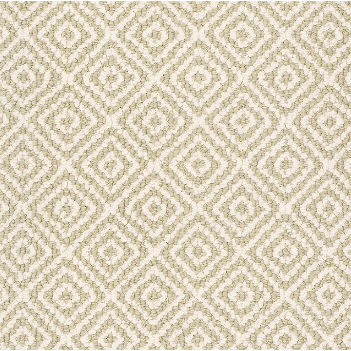 Anderson Tuftex Stroll — Spring Mist · ZZ050-00313 — flooring selection with LeviArs Design & Remodeling