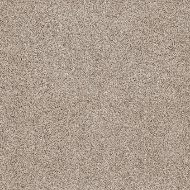 Anderson Tuftex Sumptuous I — Cliff · ZZ323-00144 — flooring selection with LeviArs Design & Remodeling