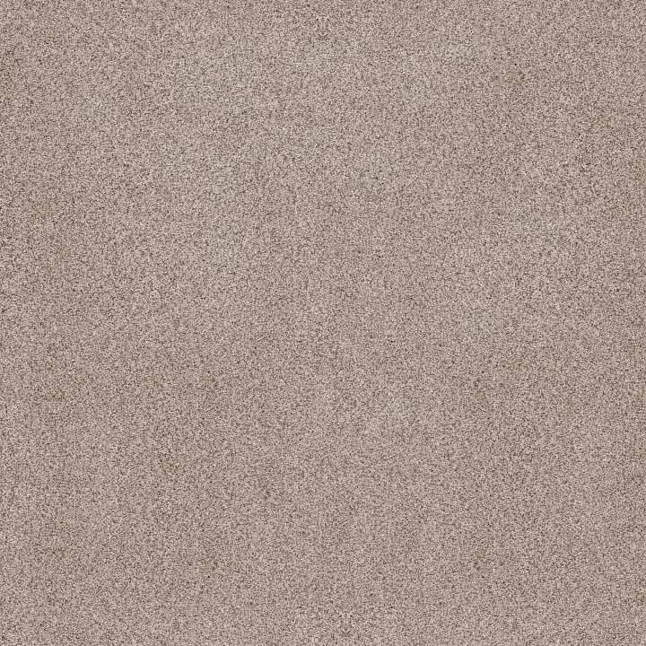 Anderson Tuftex Sumptuous I — Cricket Club · ZZ323-00143 — flooring selection with LeviArs Design & Remodeling