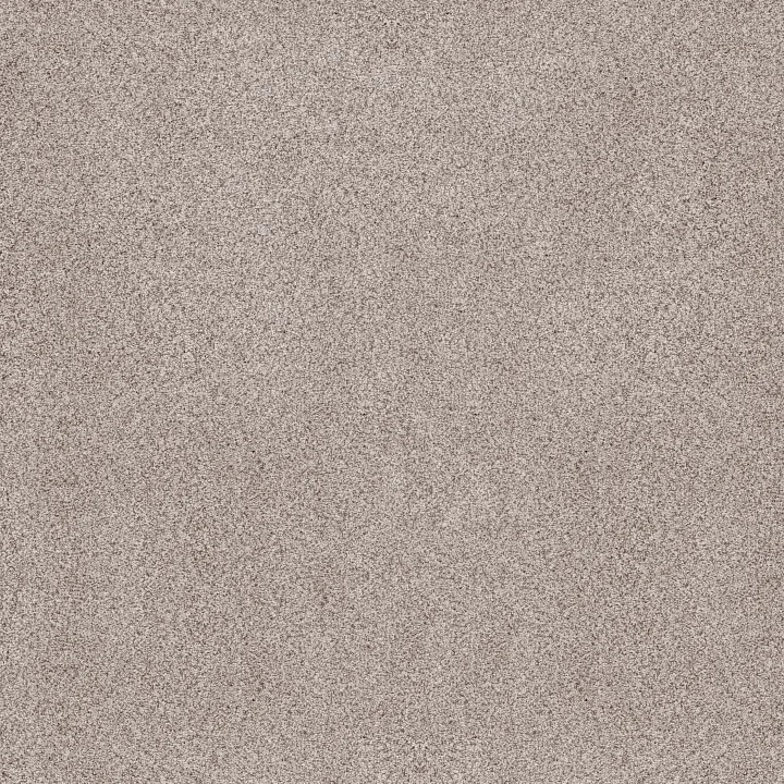 Anderson Tuftex Sumptuous I — First Star · ZZ323-00151 — flooring selection with LeviArs Design & Remodeling