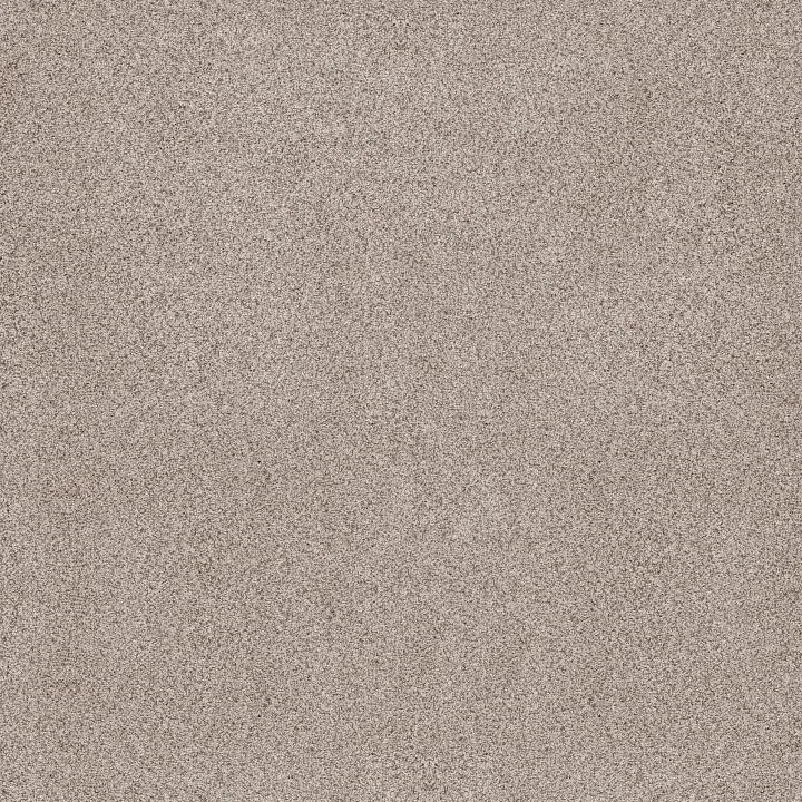 Anderson Tuftex Sumptuous I — Granite Dust · ZZ323-00152 — flooring selection with LeviArs Design & Remodeling