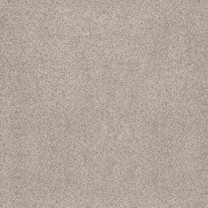 Anderson Tuftex Sumptuous II — Breton · ZZ324-00140 — flooring selection with LeviArs Design & Remodeling