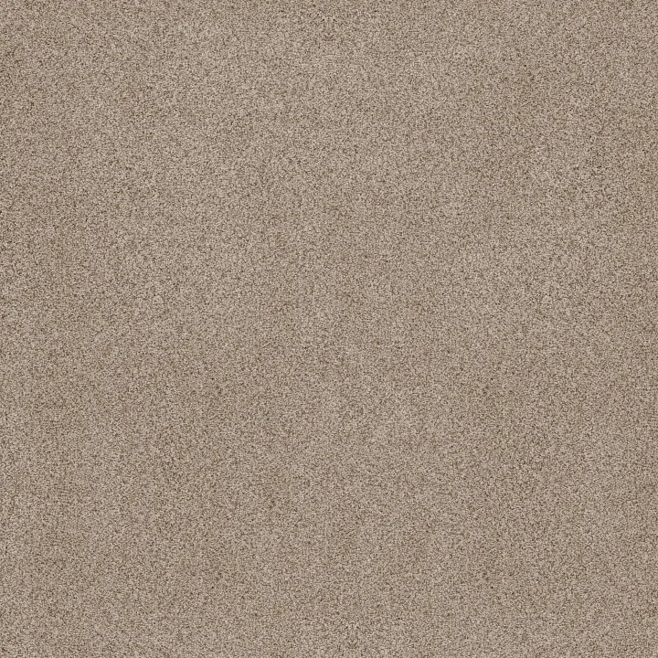 Anderson Tuftex Sumptuous II — Cream Tea · ZZ324-00240 — flooring selection with LeviArs Design & Remodeling