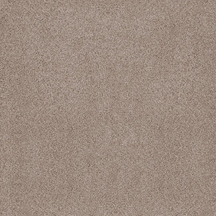 Anderson Tuftex Sumptuous II — Earthen · ZZ324-00750 — flooring selection with LeviArs Design & Remodeling