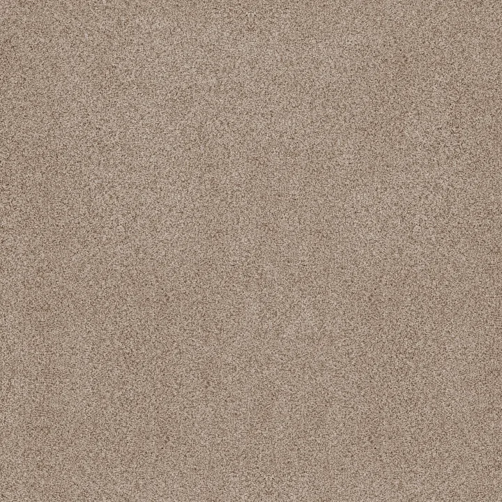Anderson Tuftex Sumptuous II — Toasted Grain · ZZ324-00241 — flooring selection with LeviArs Design & Remodeling