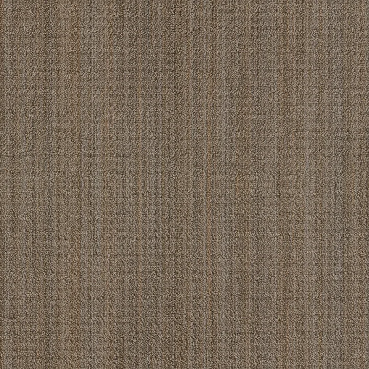 Anderson Tuftex Sundance — Buckaroo · ZZ039-00726 — flooring selection with LeviArs Design & Remodeling