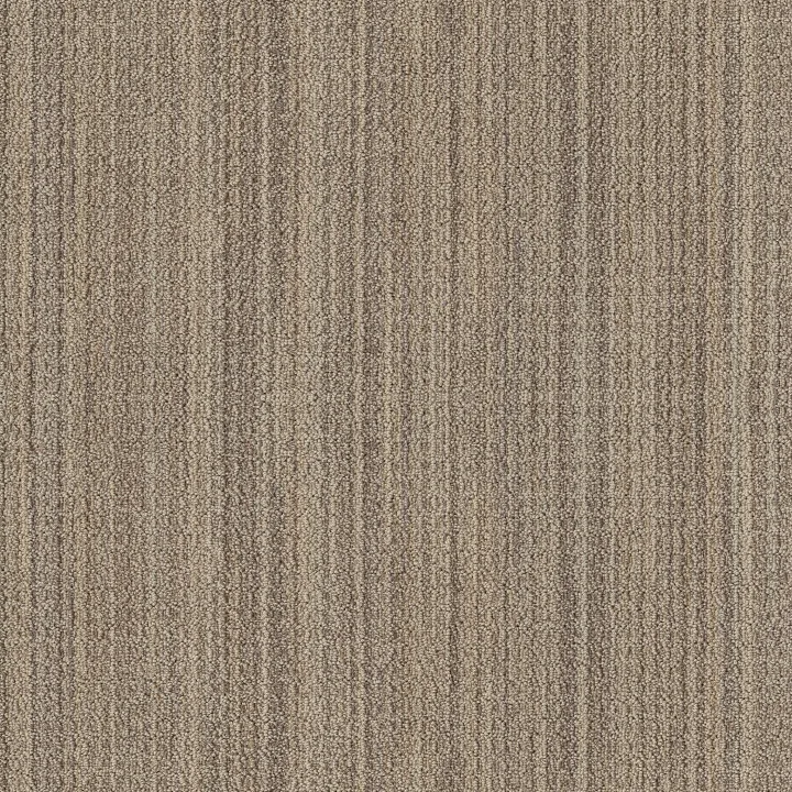 Anderson Tuftex Sundance — Wild Oats · ZZ039-00153 — flooring selection with LeviArs Design & Remodeling