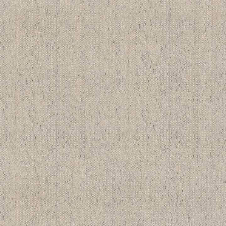 Anderson Tuftex Tactile — Coastline · ZZ341-00100 — flooring selection with LeviArs Design & Remodeling