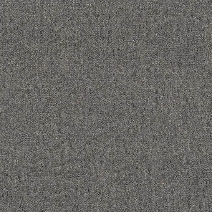 Anderson Tuftex Tactile — Nightfall · ZZ341-00501 — flooring selection with LeviArs Design & Remodeling