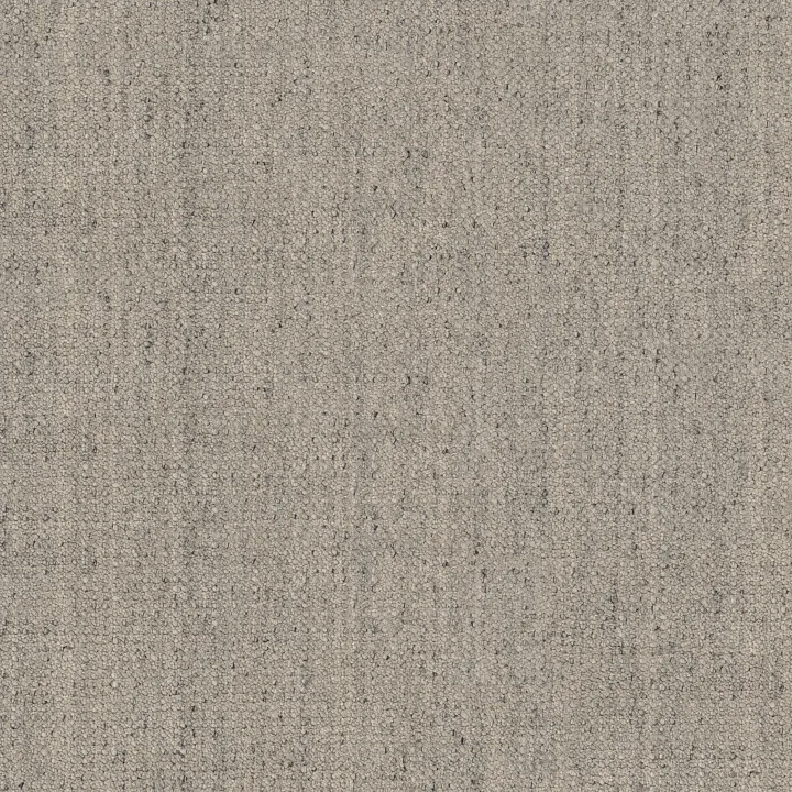 Anderson Tuftex Tactile — Skyscraper · ZZ341-00500 — flooring selection with LeviArs Design & Remodeling