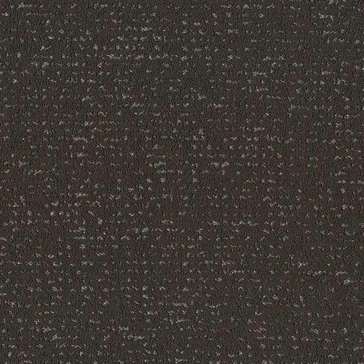 Anderson Tuftex Tangent — Charcoals · ZZ328-00505 — flooring selection with LeviArs Design & Remodeling
