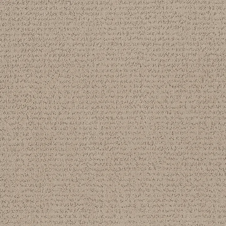 Anderson Tuftex Tangent — Fresh Bread · ZZ328-00114 — flooring selection with LeviArs Design & Remodeling