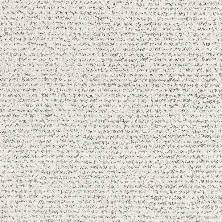 Anderson Tuftex Tangent — Granite · ZZ328-00103 — flooring selection with LeviArs Design & Remodeling
