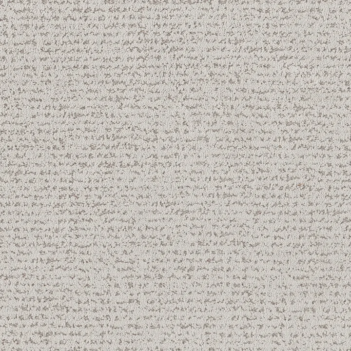 Anderson Tuftex Tangent — Grey Fox · ZZ328-00112 — flooring selection with LeviArs Design & Remodeling