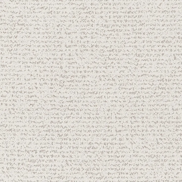 Anderson Tuftex Tangent — Linen · ZZ328-00101 — flooring selection with LeviArs Design & Remodeling