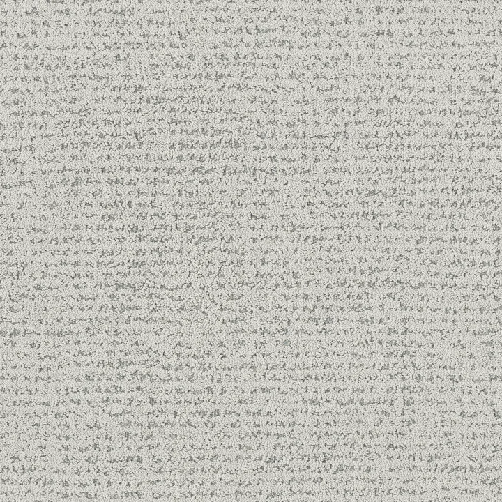 Anderson Tuftex Tangent — Sea Breeze · ZZ328-00502 — flooring selection with LeviArs Design & Remodeling