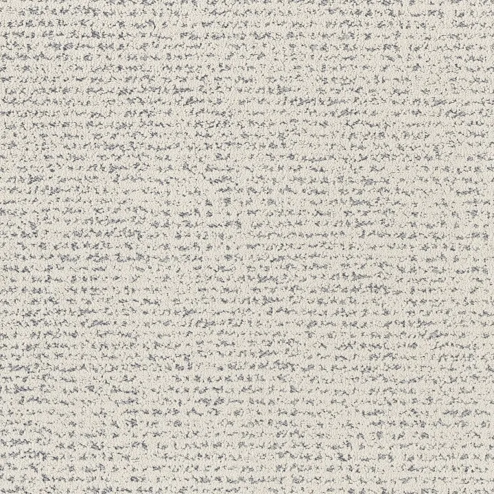 Anderson Tuftex Tangent — Serenity · ZZ328-00400 — flooring selection with LeviArs Design & Remodeling