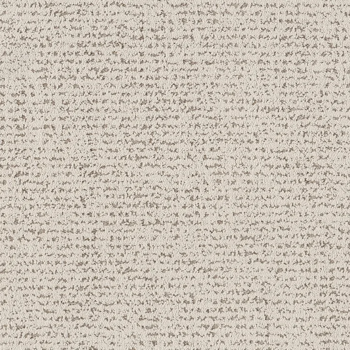 Anderson Tuftex Tangent — Vintage Find · ZZ328-00105 — flooring selection with LeviArs Design & Remodeling