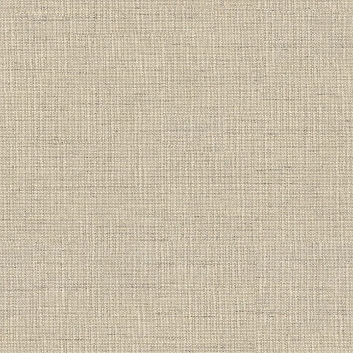 Anderson Tuftex Tapestry — Conch · ZZ350-00100 — flooring selection with LeviArs Design & Remodeling